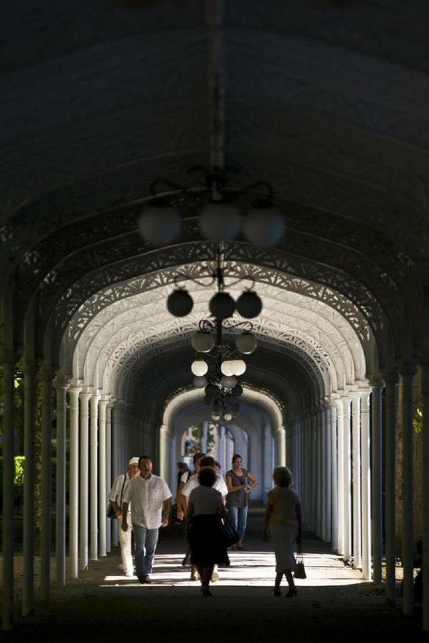 Appartamento Palais Des Sources Vichy Esterno foto